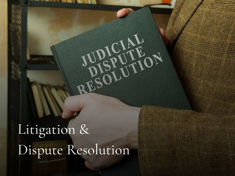 Litigation & Dispute Resolution
